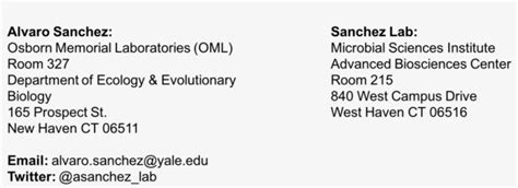 yale university address|yale's university physical address.